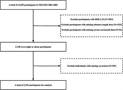 Relationship between serum carotenoids and telomere length in overweight or obese individuals